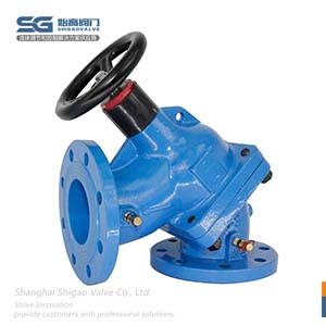 多功能止回閥圖2