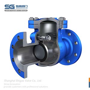 德標旋啟式止回閥圖1