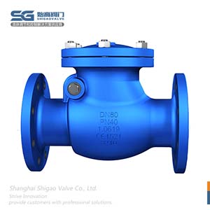 德標旋啟式止回閥圖2