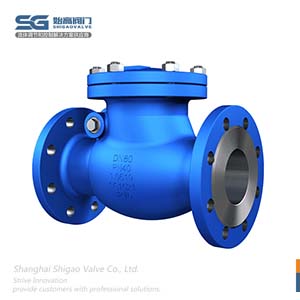 德標旋啟式止回閥圖3