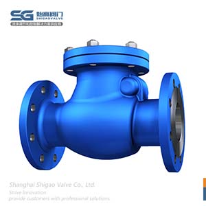 德標旋啟式止回閥圖4