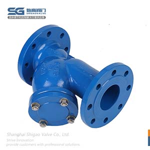 法蘭碳鋼Y型過(guò)濾器圖2