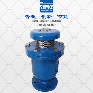 CARX復合式空氣閥實(shí)物圖