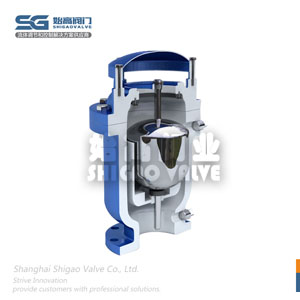 耐腐蝕復合式快速排氣閥圖