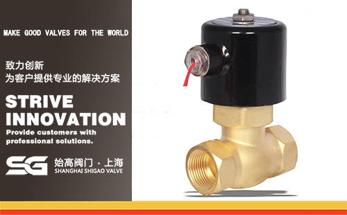 2L黃銅蒸汽電磁閥 2L黃銅蒸汽電磁閥