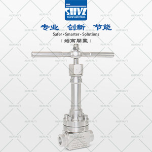 鍛鋼高壓低溫截止閥圖1