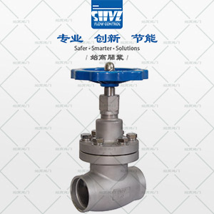 短軸低溫截止閥圖1