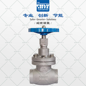 短軸低溫截止閥圖2
