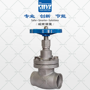 短軸低溫截止閥圖4