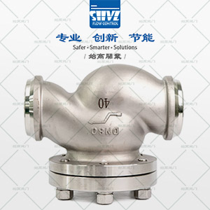 對焊低溫止回閥圖2