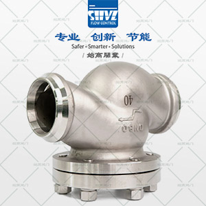 對焊低溫止回閥圖4