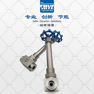 長(cháng)軸低溫針閥圖4