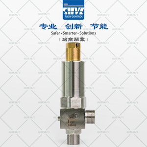 低溫高壓安全閥圖2