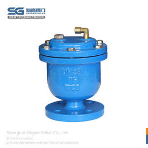 法蘭微量排氣閥