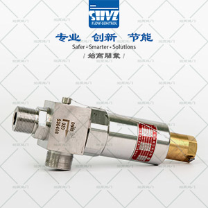 低溫高壓安全閥圖3