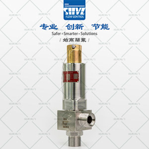 低溫高壓安全閥圖4