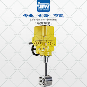 電動(dòng)低溫球閥圖2