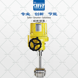 電動(dòng)低溫球閥圖3
