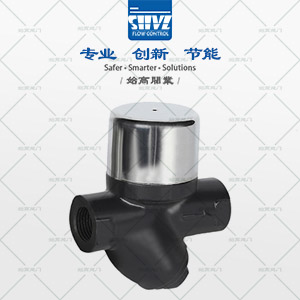 CS19(dng)AP(pn)ʽˮyD1