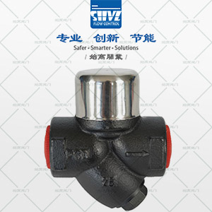 CS19(dng)AP(pn)ʽˮyD2