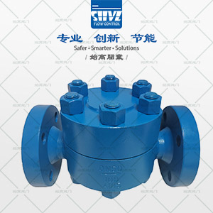 高壓熱動(dòng)力疏水閥圖2