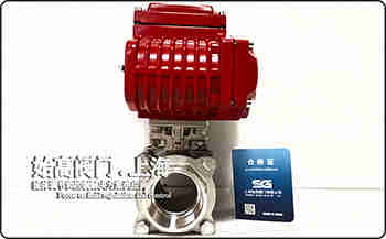 316|(zh)늄(dng)ݼyy