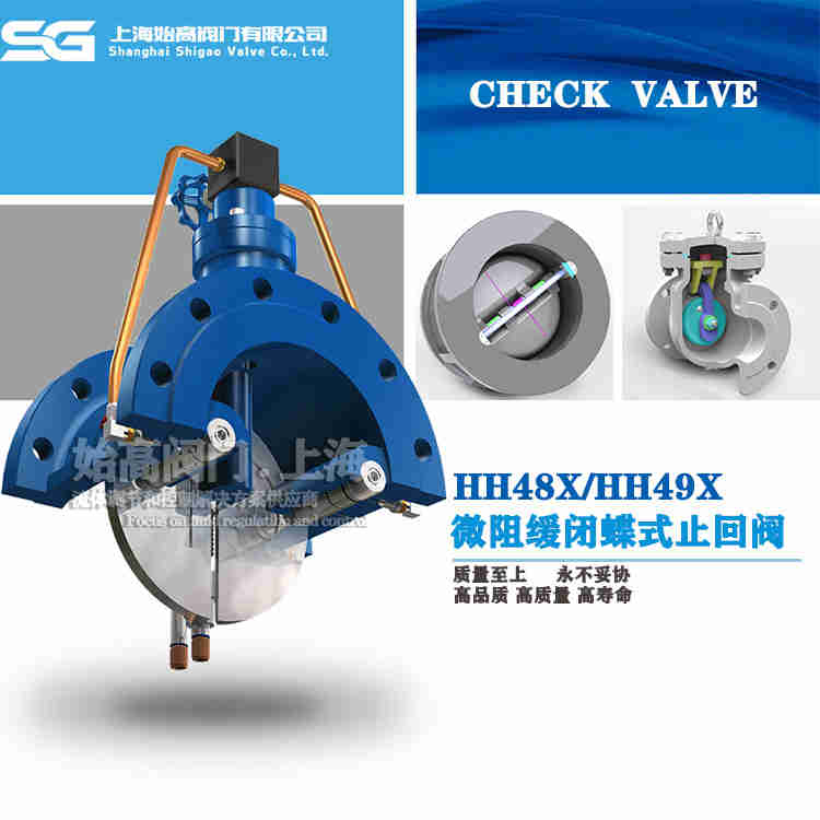 蝶式止回閥 蝶式止回閥